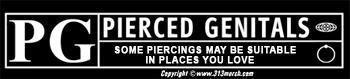 pierced genitals